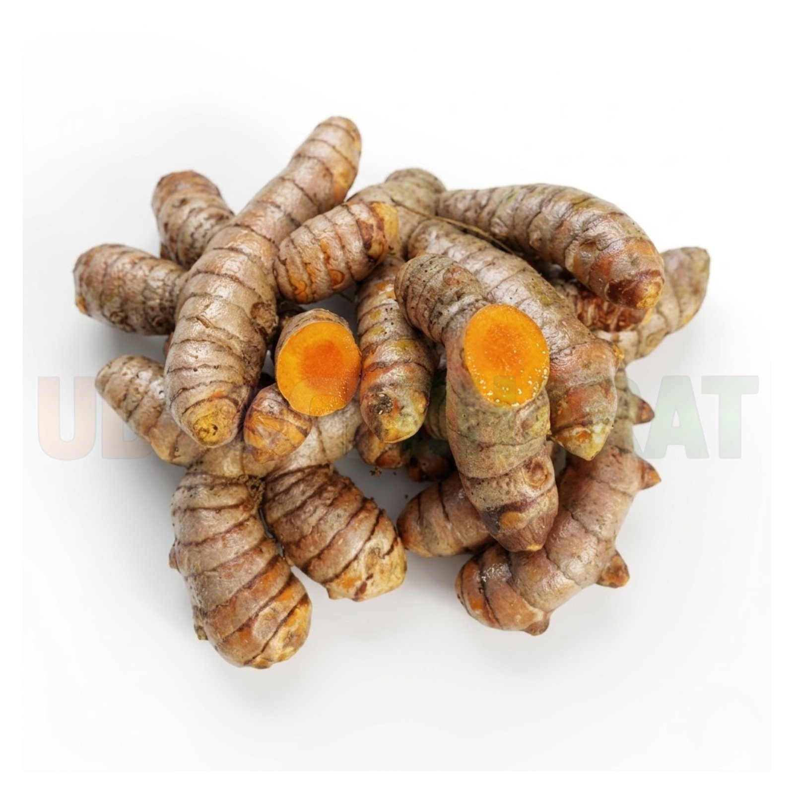 Absolutely organic and fresh raw turmeric kachi haldi (400 gm) (400 g)
