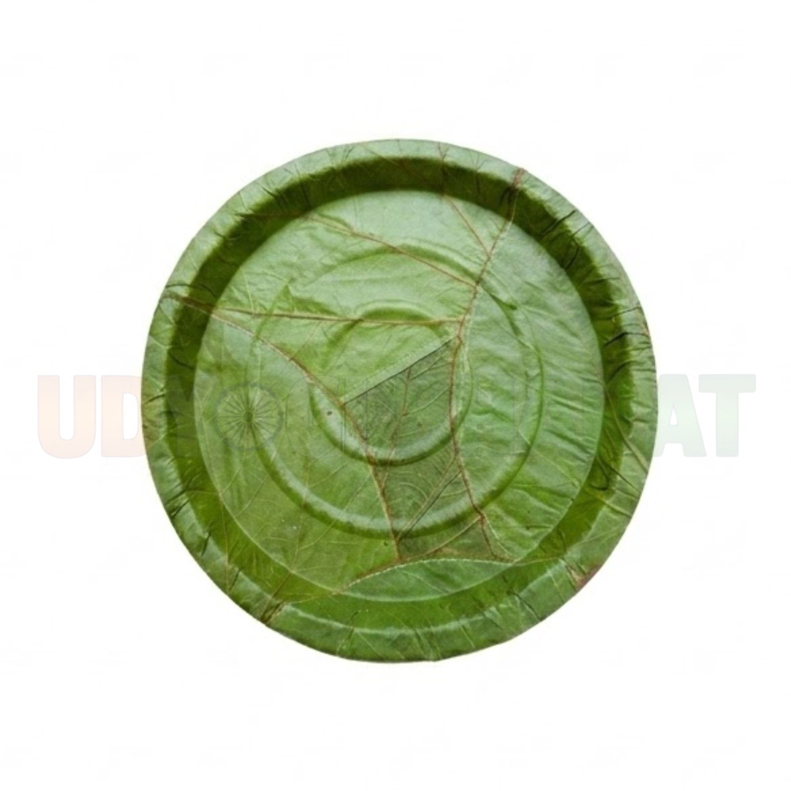 Disposable Paper Biodegradable Plate