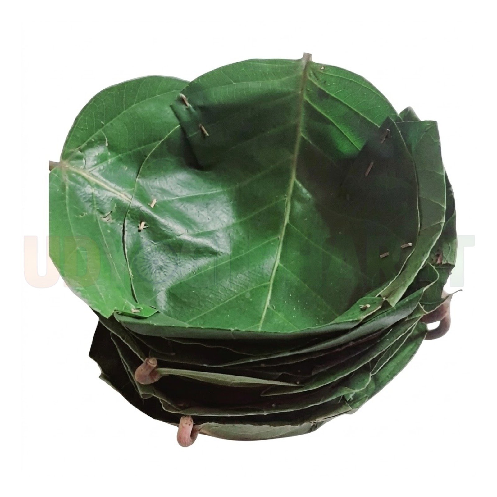 Palm Leaf Plate Eco Friendly Disposable Dinnerware Plates